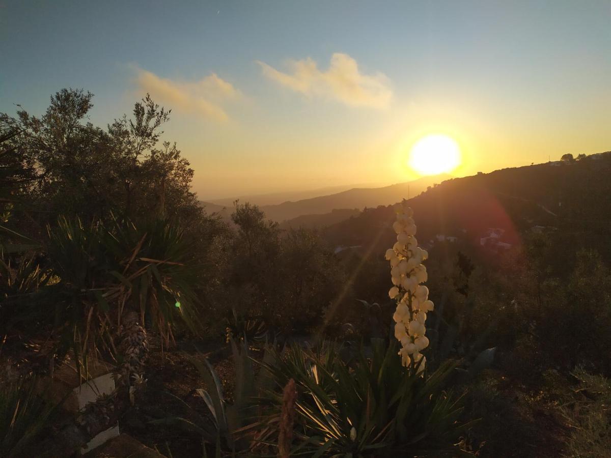 Cómpeta B&B La Madrugada מראה חיצוני תמונה